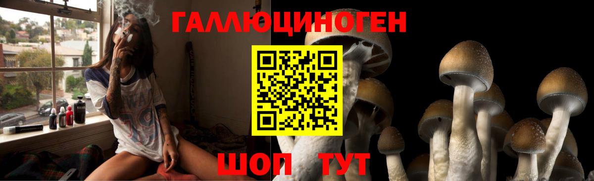 Анапа  Псилоцибиновые грибы Psilocybe  Псилоцибиновые грибы Cubensis  Вход с VPN 